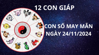 Tử vi ngày 24/11, con số may mắn thần tài tặng 12 con giáp gặp thời phất lên giàu có