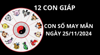 Tử vi ngày 25/11, con số may mắn cho 12 con giáp gặp được lộc của bà cô tổ để thuận lợi phát tài
