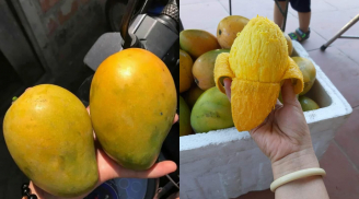 Loại quả có tên quen thuộc, xưa không ai ngó mà nay ‘cháy hàng’, giá 50.000 đồng/kg
