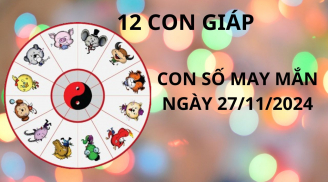 Tử vi ngày 27/11, con số may mắn cho 12 con giáp ăn lộc tổ tiên thần tài dẫn lối giàu sang