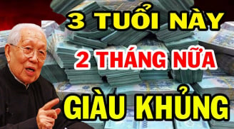 2 tháng nữa đến Tết Ất Tỵ 2025: 3 tuổi Lộc Lớn Về Tay, tiền vào như nước