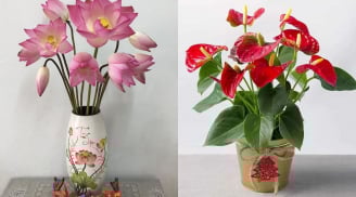 6 loại hoa “đánh thức” Thần Tài, sáng đặt bàn thờ, chiều đón vận may, làm gì cũng thuận buồm xuôi gió