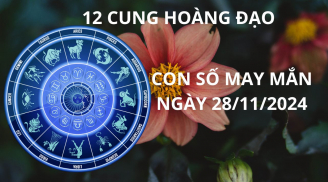 Tử vi ngày 28/11, con số may mắn mang lại cơn mưa vàng tài lộc cho 12 chòm sao