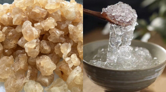 Loại đặc sản được lấy từ trên cây, giá lên tới 300.000 đồng/kg, là món quà quý cho sức khoẻ