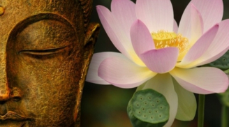 Những điều Phật dạy làm người này nghìn năm vẫn đúng, ai cũng nên biết và ghi nhớ