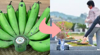 Tổ tiên dặn đừng làm trái: Cuối năm tảo mộ đừng mang theo chuối. Vì sao?