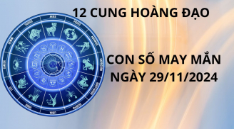 Tử vi ngày 29/11, con số may mắn cho 12 chòm sao đi đằng Đông hốt vàng đi đằng Tây nhặt bạc