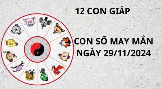 Tử vi ngày 29/11, con số may mắn giúp 12 con giáp gặp lộc Phật bà được hưởng ơn trên