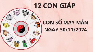 Tử vi ngày 30/11, con số may mắn cho 12 con giáp thừa thắng xông lên hứng trọn lộc Thánh phát tài giàu có