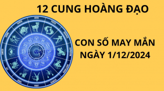 Tử vi ngày 1/12 con số may mắn gúp 12 chòm sao chân đạp hố vàng tay sờ hòm ngọc phất lên đổi đời