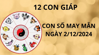 Tử vi ngày 2/12, con số may mắn cho 12 con giáp rũ bùn đứng lên giàu có bất ngờ