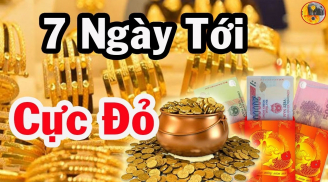 Tuần mới (2-8/12): 3 tuổi có cơ hội đổi đời, Thần Tài tự mang tiền đến tận cửa