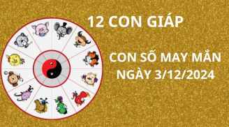Tử vi ngày 3/12, con số may mắn Thần tài chỉ điểm cho 12 con giáp gặp cơn mưa vàng thừa thắng xông lên