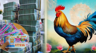10 ngày tới (4/12- 13/12): 3 tuổi ăn lộc Tổ Tiên đi đằng Đông hốt Vàng, đi đằng Tây hốt Bạc