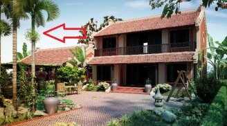 3 loại cây trồng trước nhà thì giàu có: Trồng sau nhà xua đuổi tà ma, trấn giữ của cải, đừng bỏ qua