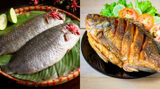 Rán cá rô nên để vảy hay cạo vảy? 3 mẹo giúp bạn rán cá giòn tan, không dính chảo, không bắn dầu