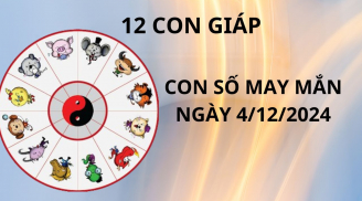 Tử vi ngày 4/12, con số may mắn cho 12 con giáp nhận lộc tổ tiên vượt ngàn chông gai phất lên giàu có
