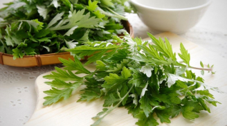 3 trường hợp mọc dại nhưng bổ ngang nhân sâm, tổ yến: Nhìn thấy đừng bỏ qua