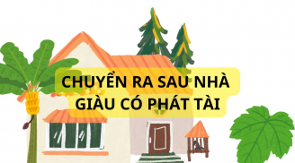 Tổ tiên khuyên răn: 2 cây trồng trước nhà xui rủi, trồng sau nhà trấn giữ của cải gia đình hưng thịnh giàu có