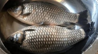 Người xưa căn dặn: 'Thịt lợn không mua thịt cổ, mua cá không mua cá diếc', làm ngược lại thì sao?