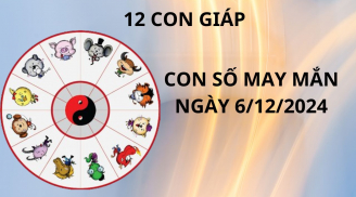Tử vi ngày 6/12 con số may mắn cho 12 con giáp được lộc tổ tiên sa trúng hố vàng đổi đời nhanh chóng