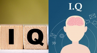 2 con giáp có chỉ số IQ cao nhất, thông minh xuất chúng, nghèo đến mấy cũng xoay chuyển tình thế