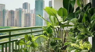 Ban công dù lớn đến mấy cũng đừng đặt 4 thứ này, kẻo gia đình xui xẻo, không ốm đau cũng mất tiền
