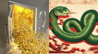 Thời đến cản không kịp: 4 con giáp ăn lộc Trời 2025, mở mắt là có tiền, số hưởng nhất là người số 1
