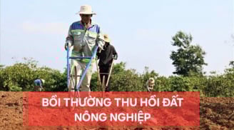 Thu hồi đất nông nghiệp 2025 được bồi thường bao nhiêu?