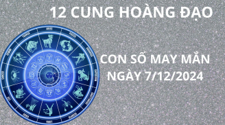 Tử vi ngày 7/12 con số may mắn cho 12 chòm sao thuận lợi hốt vàng hốt bạc đổi đời