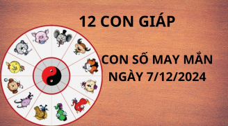 Tử vi ngày 7/12 con số may mắn Thần tài ban tặng 12 con giáp hứng trọn ơn trên giàu có phát tài