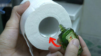 Nhỏ dầu gió vào cuộn giấy vệ sinh, giải quyết 5 vấn đề nhà nào cũng gặp, tiết kiệm cả đống tiền