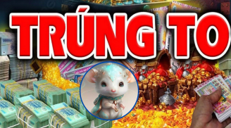 Tháng 12 âm Lộc Bất Tận Hưởng: 3 tuổi Tiền Tình đỏ rực, không thành tỉ phú cũng là đại gia
