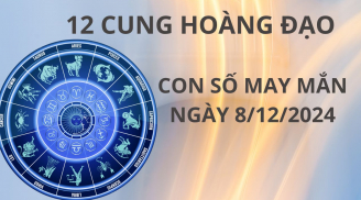Tử vi ngày 8/12 con số may mắn số vàng cho 12 chòm sao mang lại cơn mưa tài lộc đổi đời giàu sang