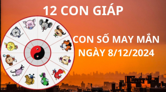 Tử vi ngày 8/12 con số may mắn tổ tiên cho lộc 12 con giáp chuẩn bị đón năm mới giàu có vui vẻ