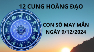 Tử vi ngày 9/12 con số may mắn cho 12 chòm sao chọn đúng thì sa trúng hố vàng, cuối năm đổi đời