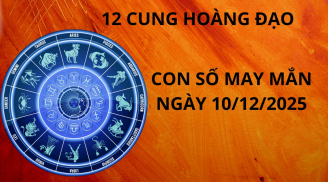 Tử vi ngày 10/12 con số may mắn giúp 12 chòm sao gặt hái thành công, tiền bạc đầy nhà tình cảm thăng hoa