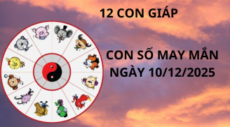 Tử vi ngày 10/12 con số may mắn Phật bà chỉ bảo cho 12 con giáp bùng nổ giàu sang cuối năm