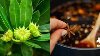 ‘Cánh hoa nghìn tỷ’ của Việt Nam được nhiều quốc gia săn đón, là kho tàng dưỡng chất quý giá