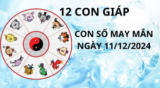 Tử vi ngày 11/12 con số may mắn Thần tài ban cho 12 con giáp, gặp thời đổi vận giàu sang