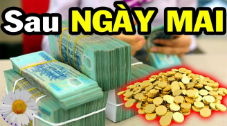 Từ mai 13/12: 3 tuổi Đạp Trúng Hố Vàng, tiền vào như nước, nhất là tuổi đầu tiên