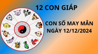Tử vi ngày 12/12 con số may mắn số vàng tài lộc giúp 12 con giáp vượt qua khó khăn, giàu có bất ngờ