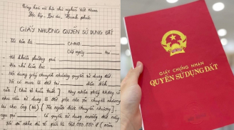 Kể từ tháng 1/2025: Quy định mới về cấp sổ đỏ với đất không đủ giấy tờ, biết sớm kẻo thiệt