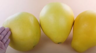 Mẹo chọn bưởi mỏng vỏ, múi to, mọng nước