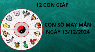 Tử vi ngày 13/12 con số may mắn tổ tiên ban tặng cho 12 con giáp nhanh chân hốt vàng nhặt bạc về nhà