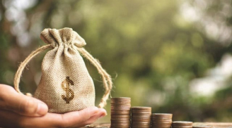 3 con giáp mải mê sự nghiệp, khó thoát cảnh độc thân nhưng trở nên siêu giàu trong năm 2025
