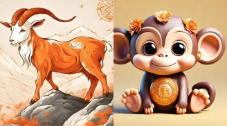 Cuối tuần này (14/12-15/12): 3 tuổi trở thành 'ông hoàng thịnh vượng', tiêu tiền không phải nghĩ