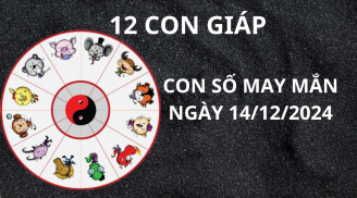 Tử vi ngày 14/12 con số may mắn cho 12 con giáp nhận lộc thầy lộc cô đổi đời giàu có trả hết nợ