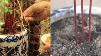 Hướng dẫn chi tiết vệ sinh bàn thờ và rút tỉa chân hương chuẩn phong thuỷ