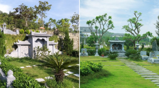Người xưa dặn: Trồng 5 loại cây này bên mộ, con cháu được phù trợ, đời đời thịnh vượng